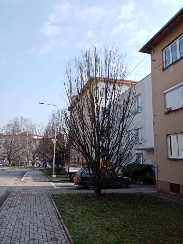 Ukázka 40